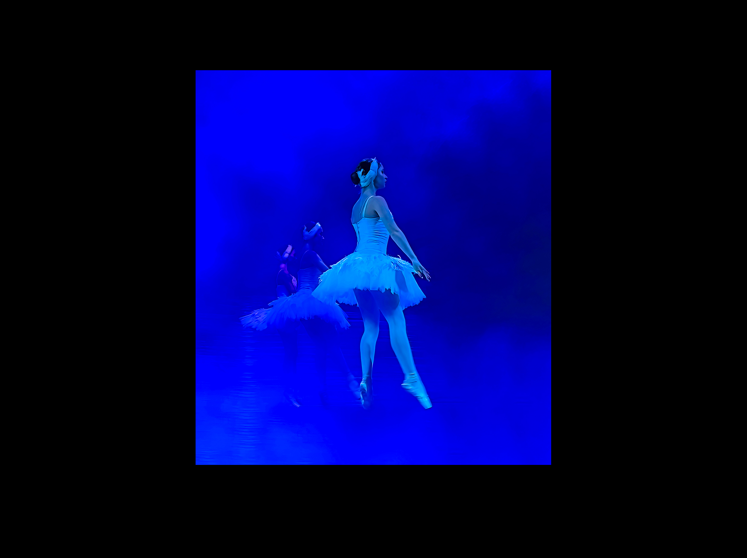 Swan Lake